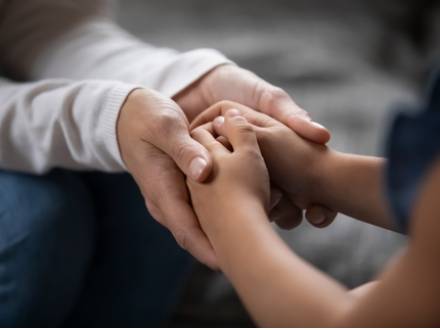 Kane County, IL mediation lawyers