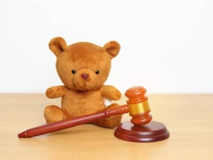 Kane County, IL guardian ad litem lawyer